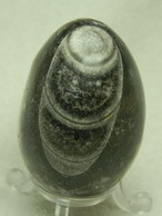 Ei aus Fossilienmarmor