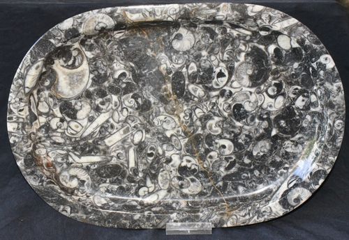 Platte aus Fossilien